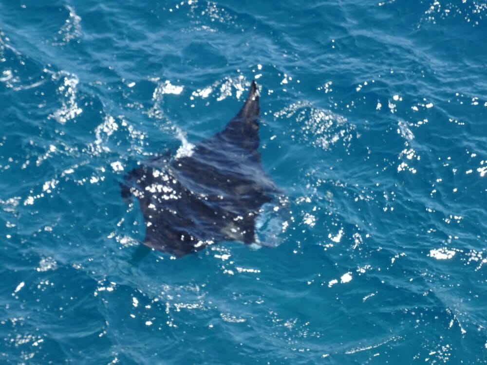 Angels-billabong-nusa-penida6